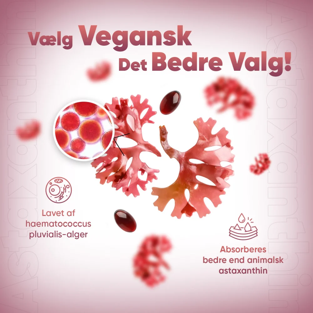 Produktbillede 2